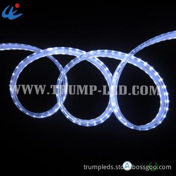 High quality IP68 36W 3014 300 12v waterproof led stripe
